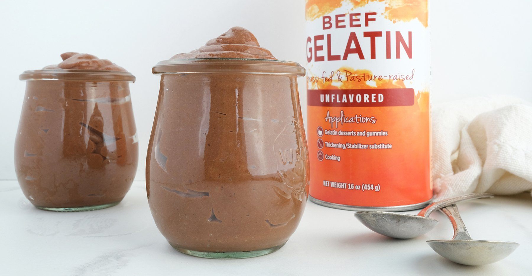 Decadent Dairy Free Chocolate Pudding | Great Lakes Wellness
